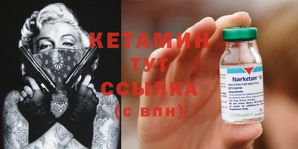 шишки Кострома