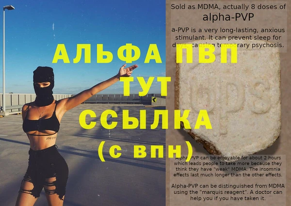 шишки Кострома