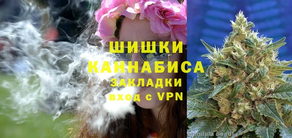 шишки Кукмор