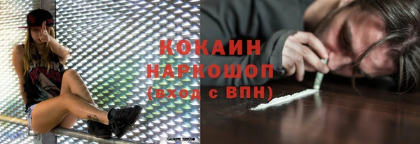 гидропоника Лагань