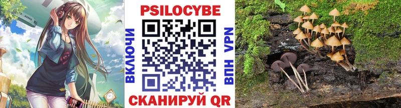 Галлюциногенные грибы мицелий  Николаевск-на-Амуре 